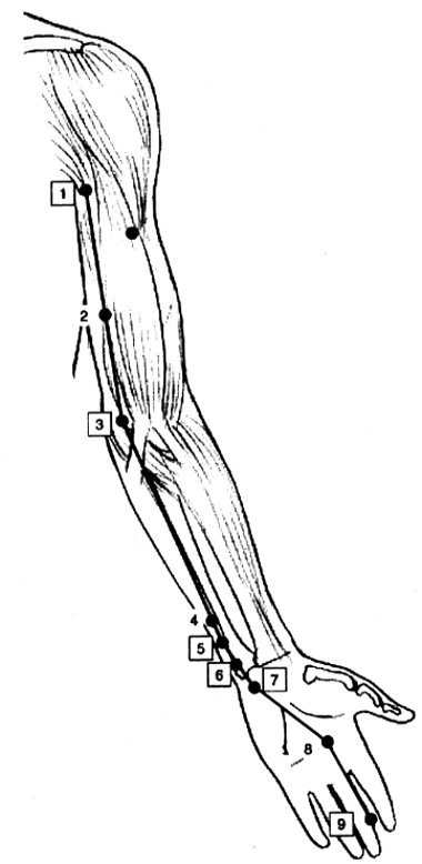 Méridien du maître du coeur