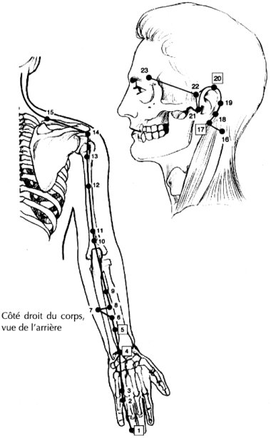 Méridien du triple réchauffeur